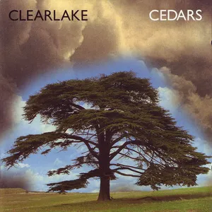 Cedars