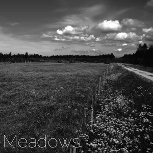 Meadows