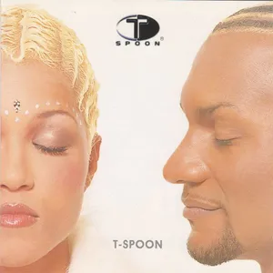 T-spoon